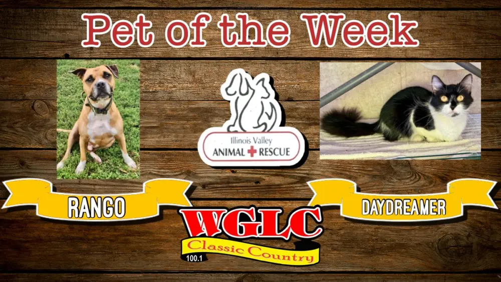 phonto-2025-11-10t072743-958