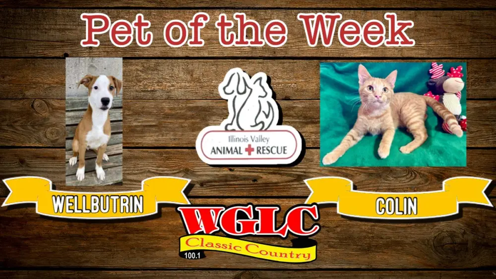 phonto-2025-11-24t065953-154