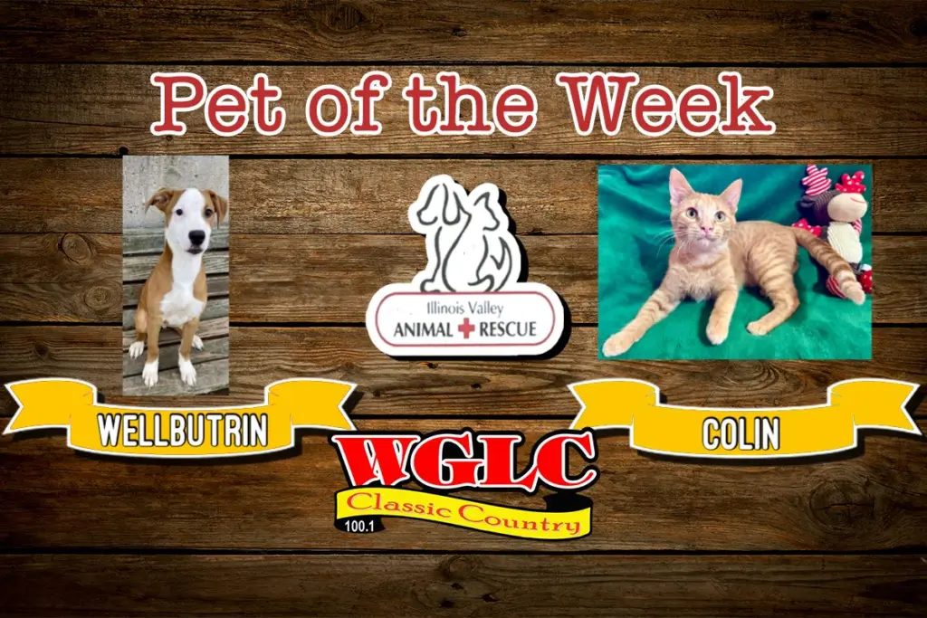 phonto-2025-11-24t065953-154