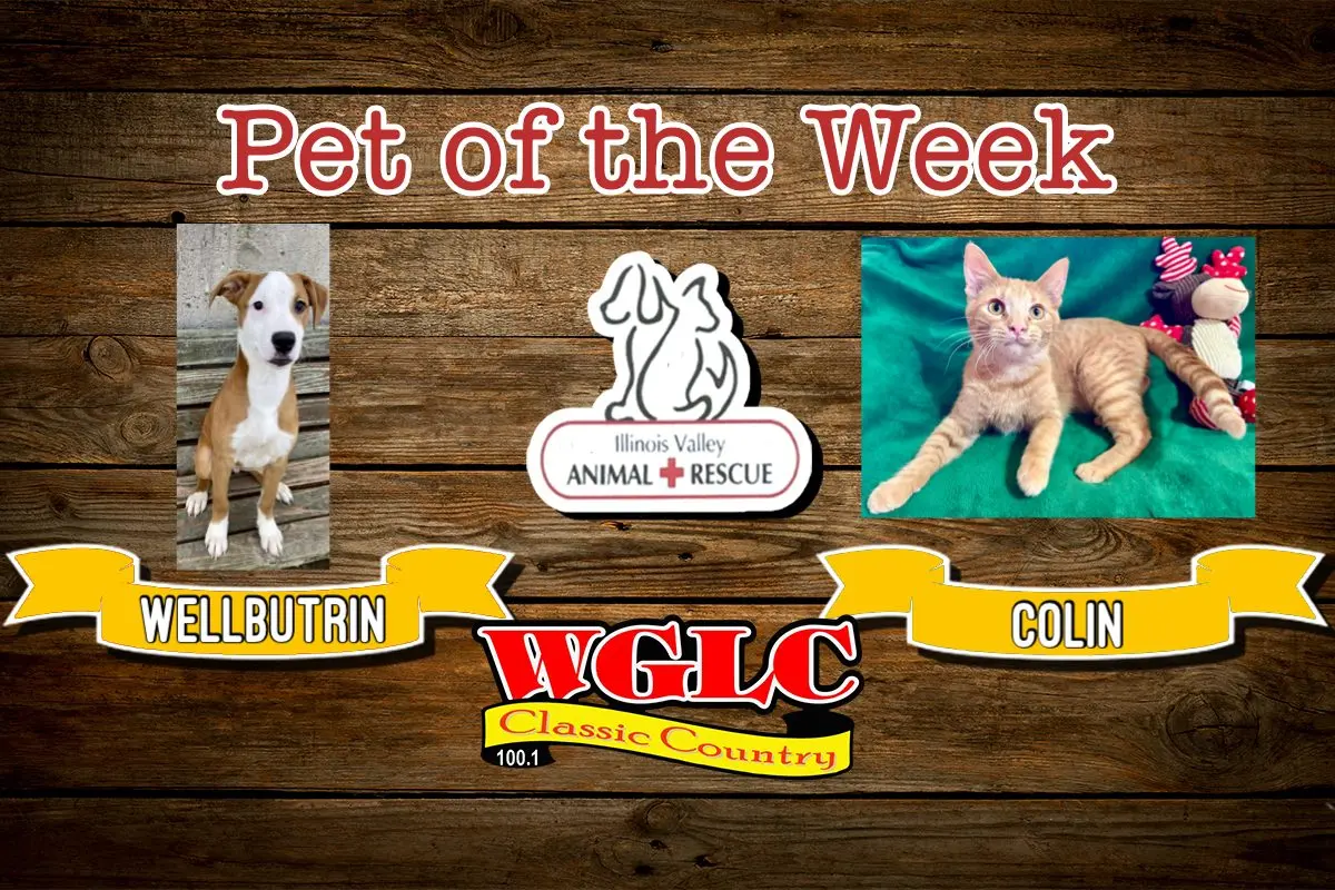 phonto-2025-11-24t065953-154