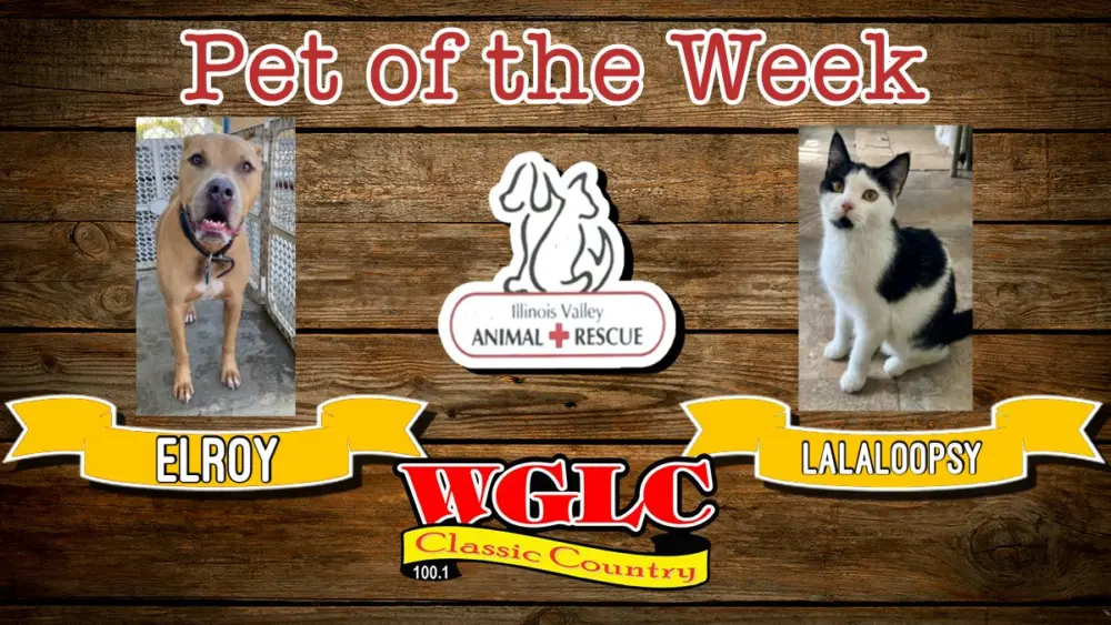 phonto-2025-12-08t074003-798