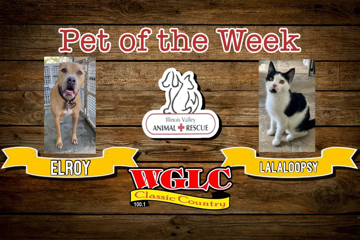 phonto-2025-12-08t074003-798