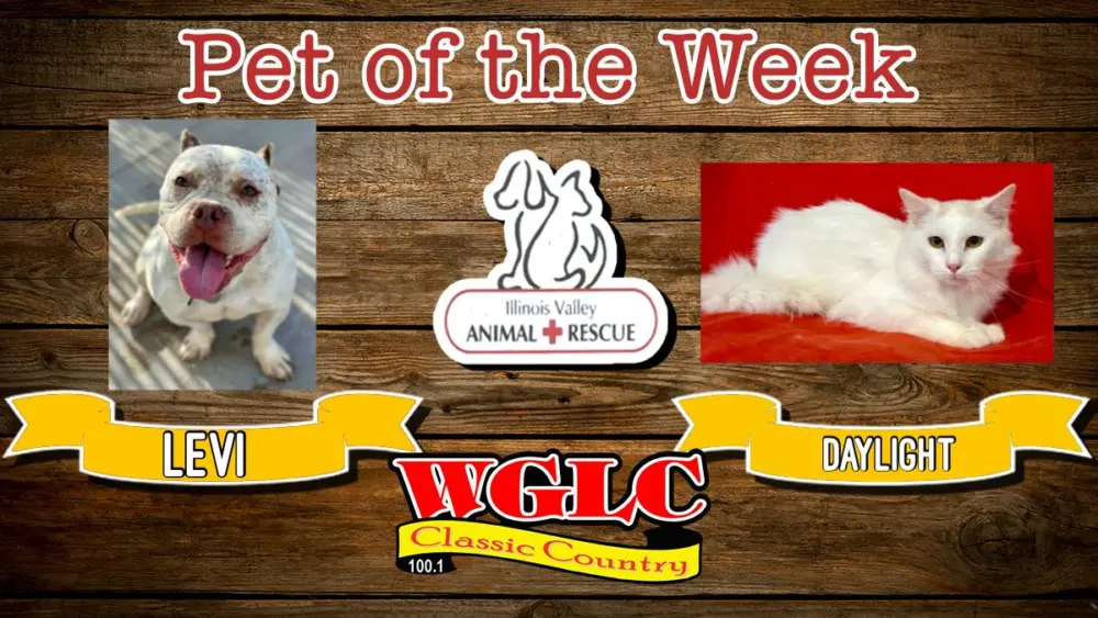 phonto-2025-12-15t073611-985