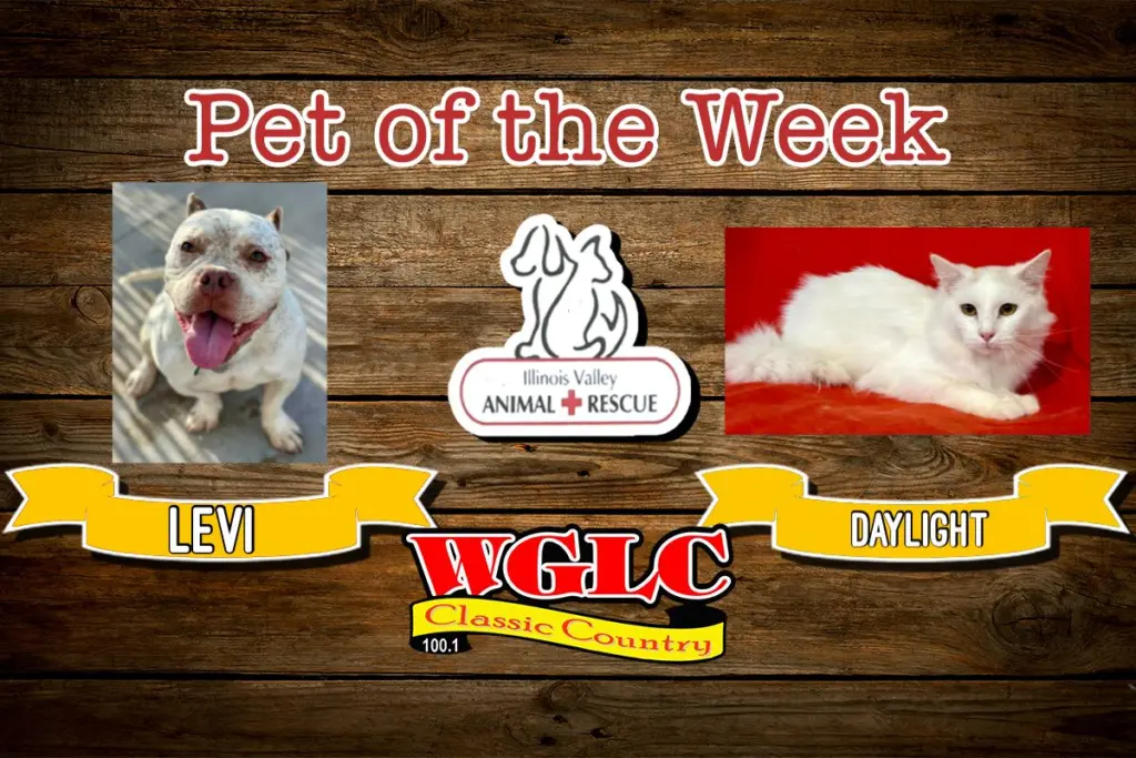 phonto-2025-12-15t073611-985