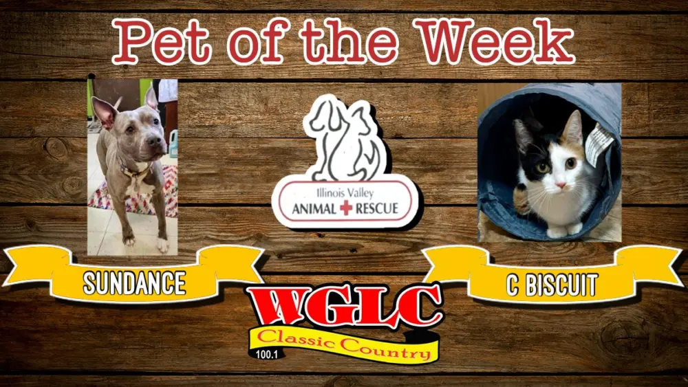 phonto-2026-01-12t062217-556