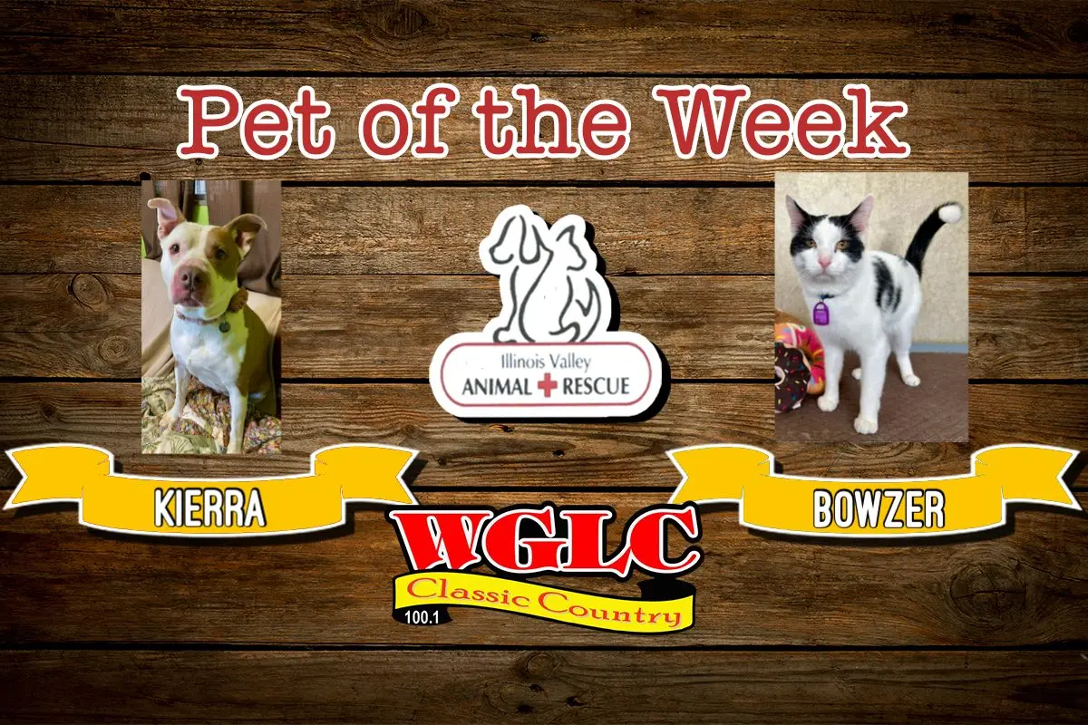 phonto-2026-02-02t074031-608