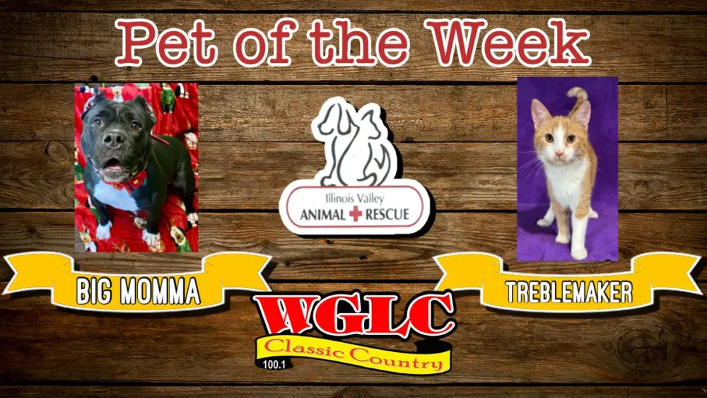 phonto-2026-02-17t063545-968