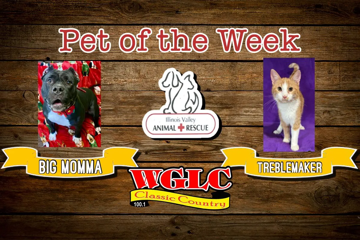 phonto-2026-02-17t063545-968