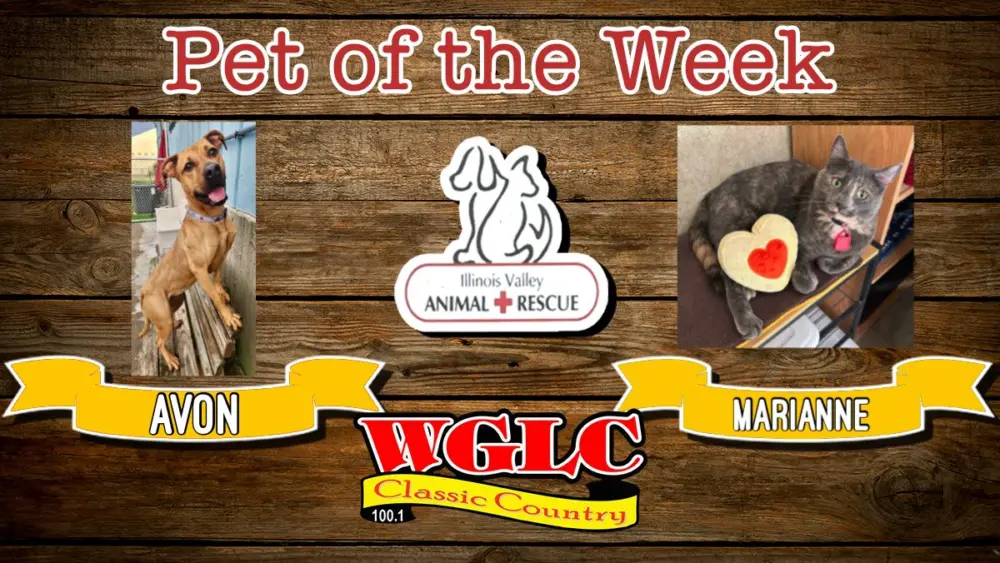 phonto-2026-03-02t062922-733