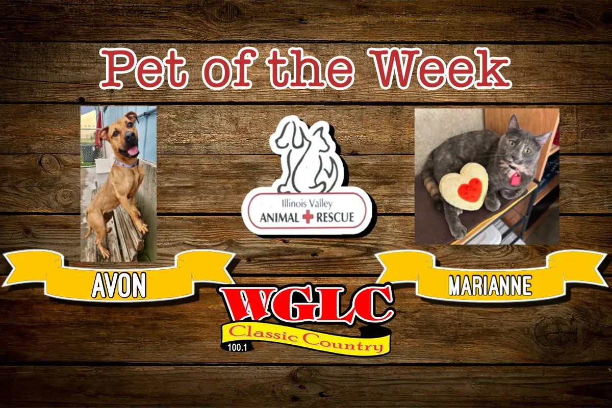 phonto-2026-03-02t062922-733