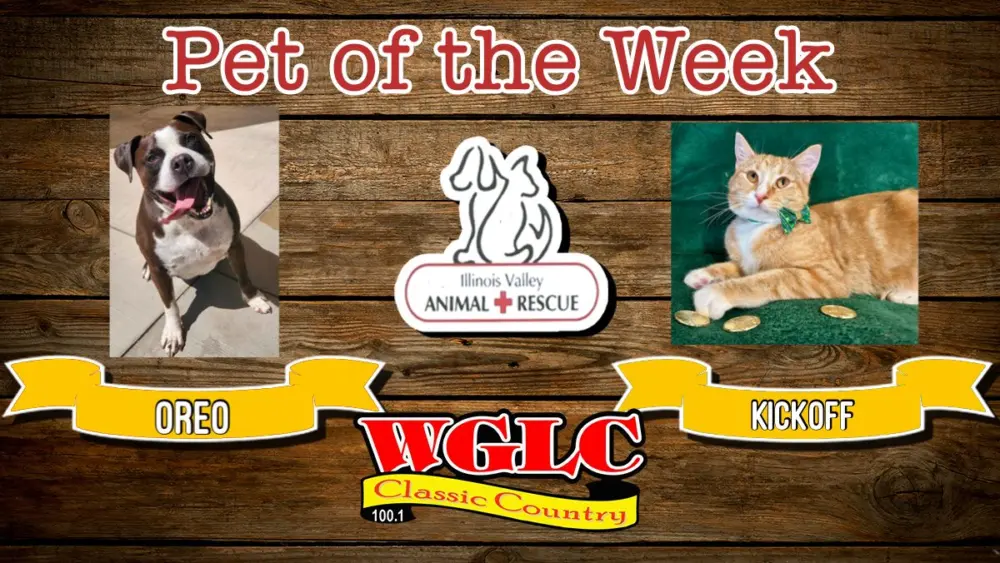 phonto-2026-03-16t073759-966