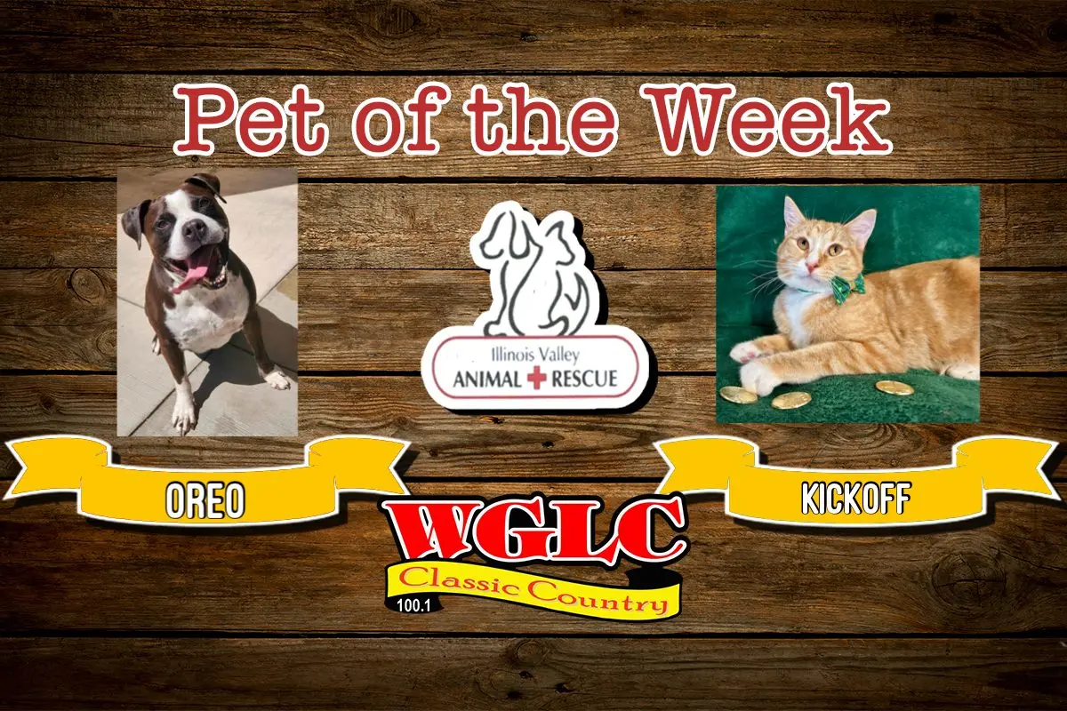 phonto-2026-03-16t073759-966