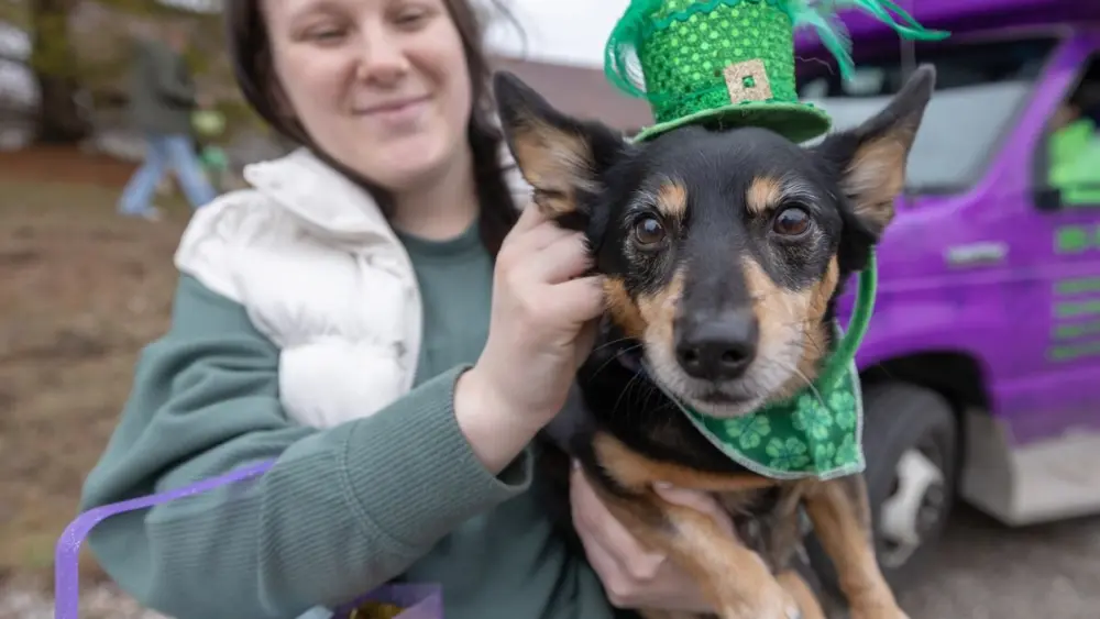 onsud5rquvb4flwq73nymvky3q336500