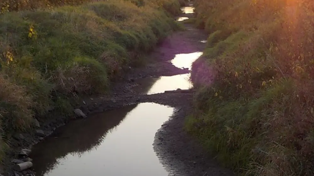 o2edq7sd6tr2dzt4xcf2t65q4a118584