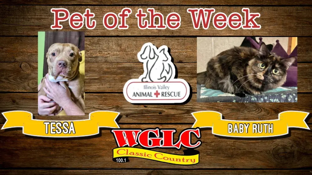 phonto-2026-03-30t071149-474