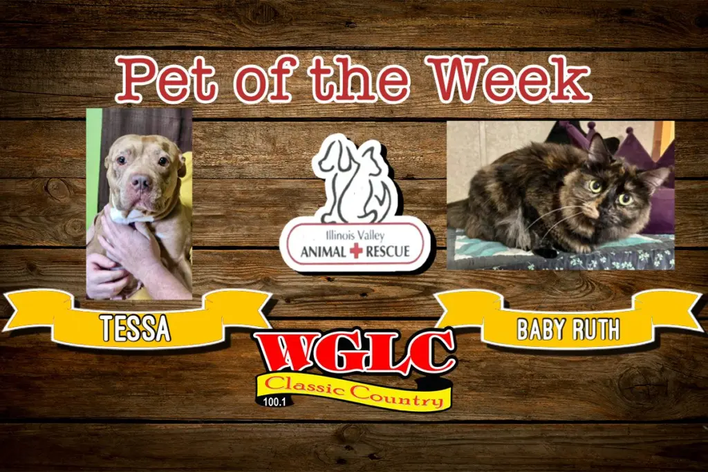 phonto-2026-03-30t071149-474