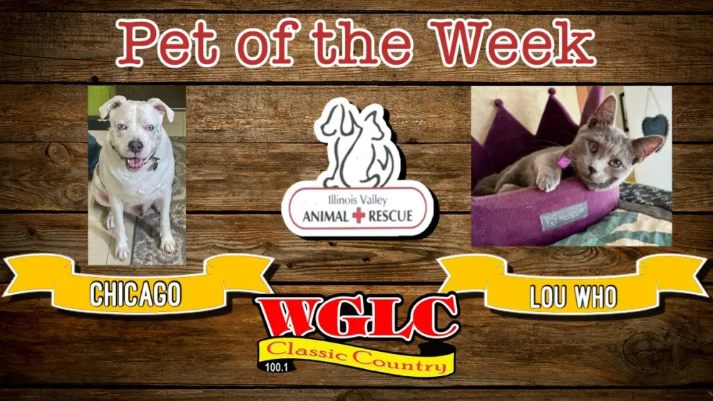 phonto-2026-04-13t075721-703