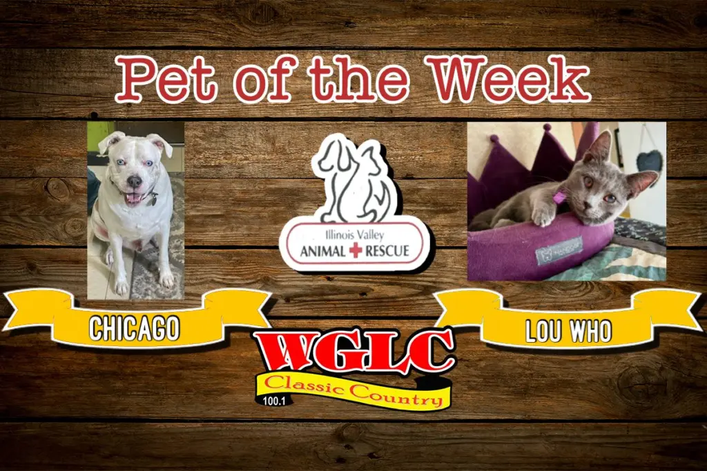 phonto-2026-04-13t075721-703