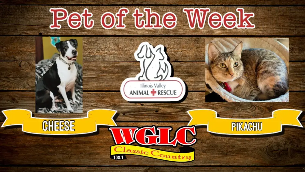 phonto-2026-04-27t070740-176