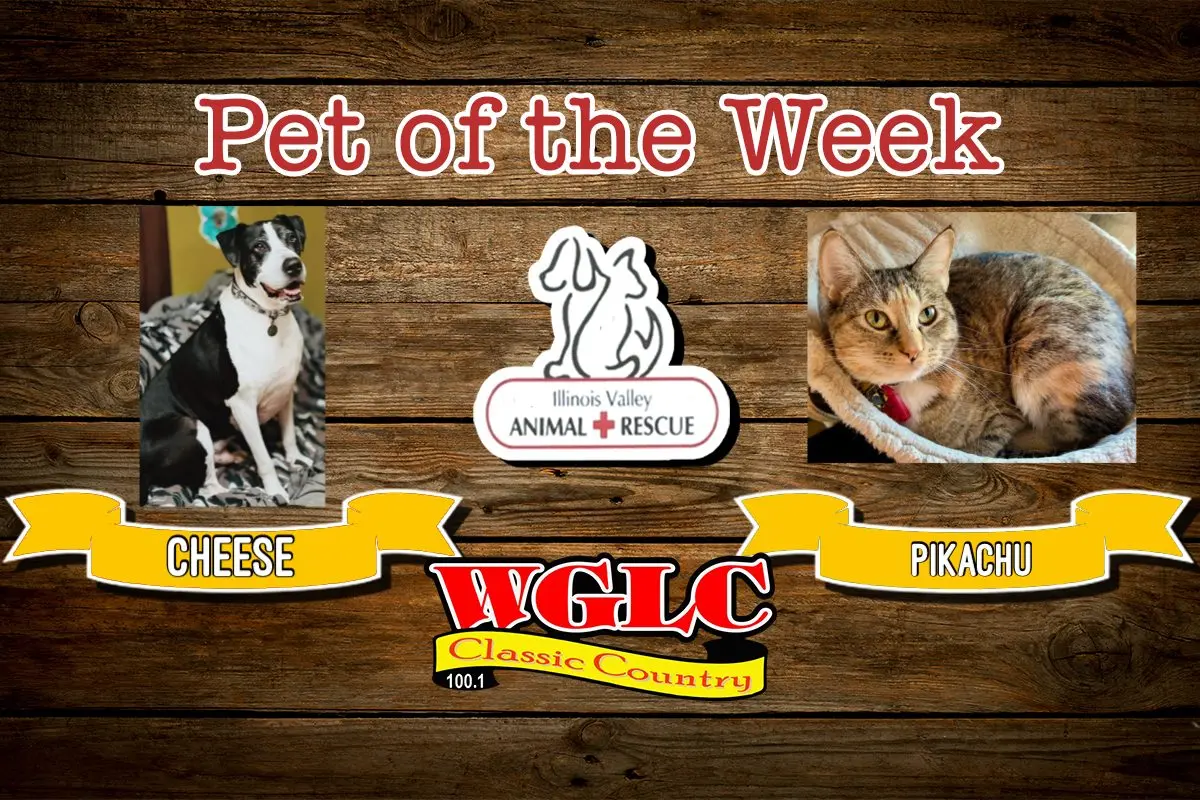 phonto-2026-04-27t070740-176