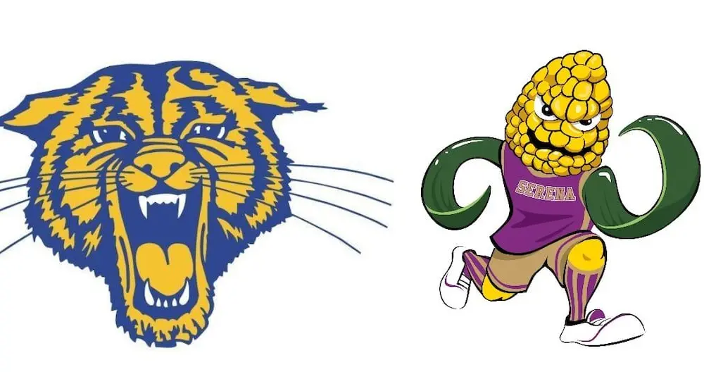 4brqo2mn65cgxppfhcbxelmvae19908