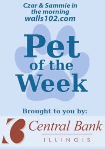 pet-of-the-week