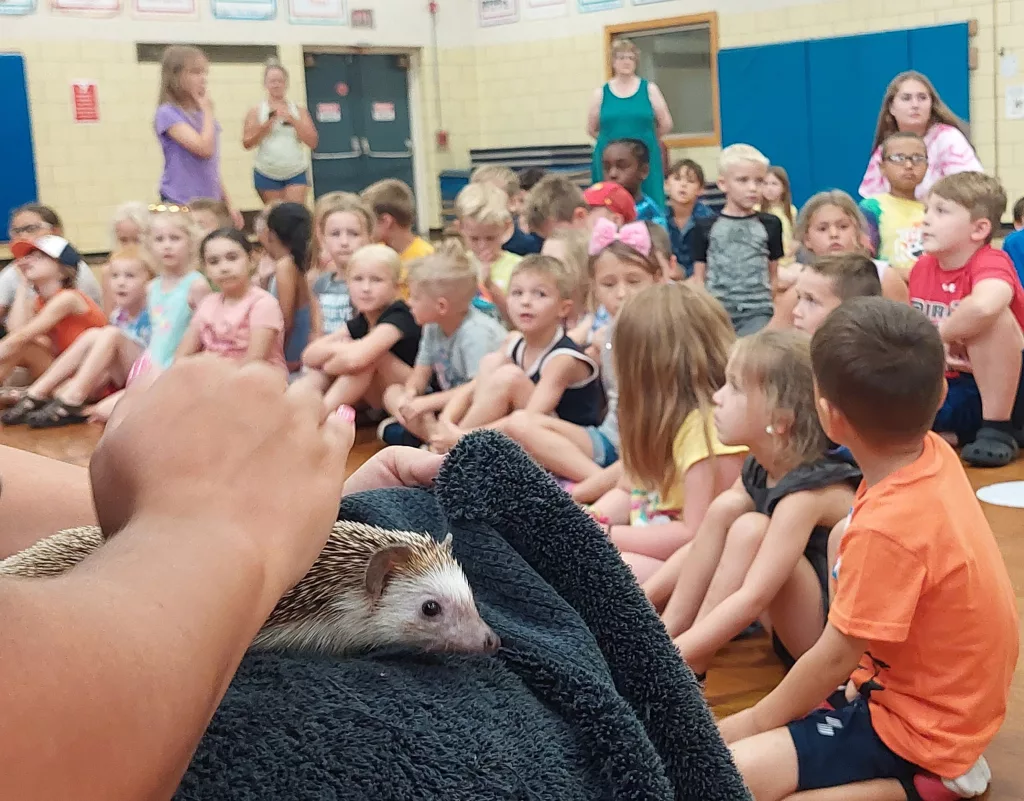 n7fcv7fi4beibgqlferr6ylcma614032