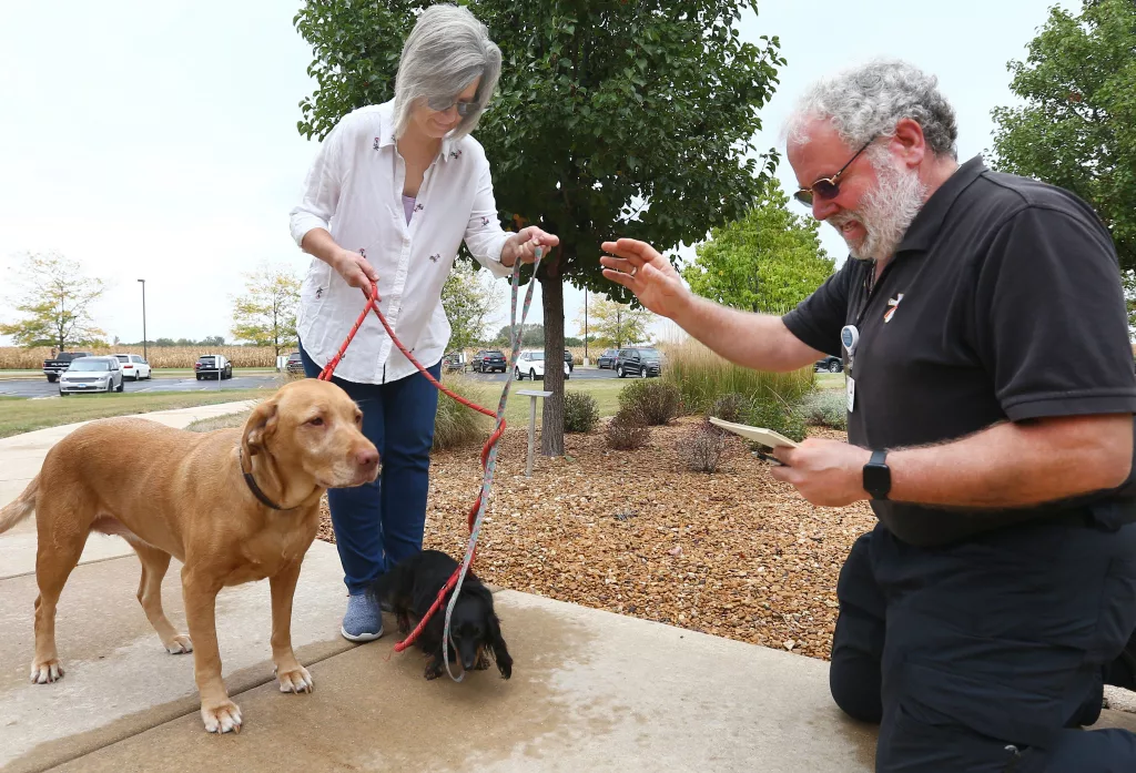 eqjpoqya6zbczammxidepqjy3m236122