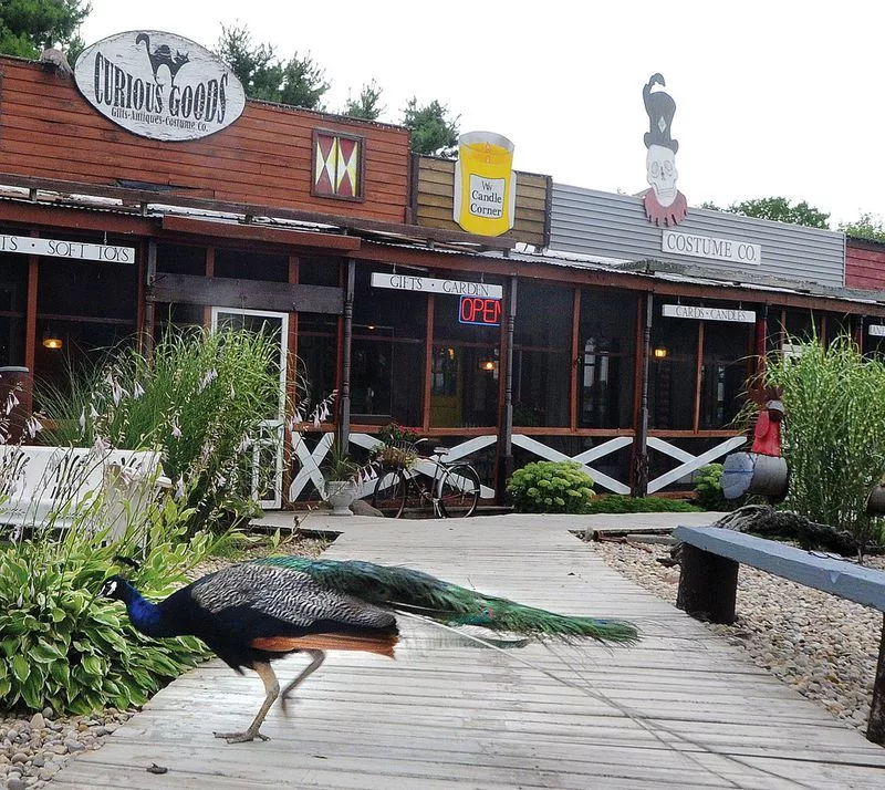 i4p472rhp5ji4lee2iev264amm283008