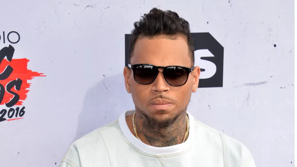 shutterstock_43566658011741