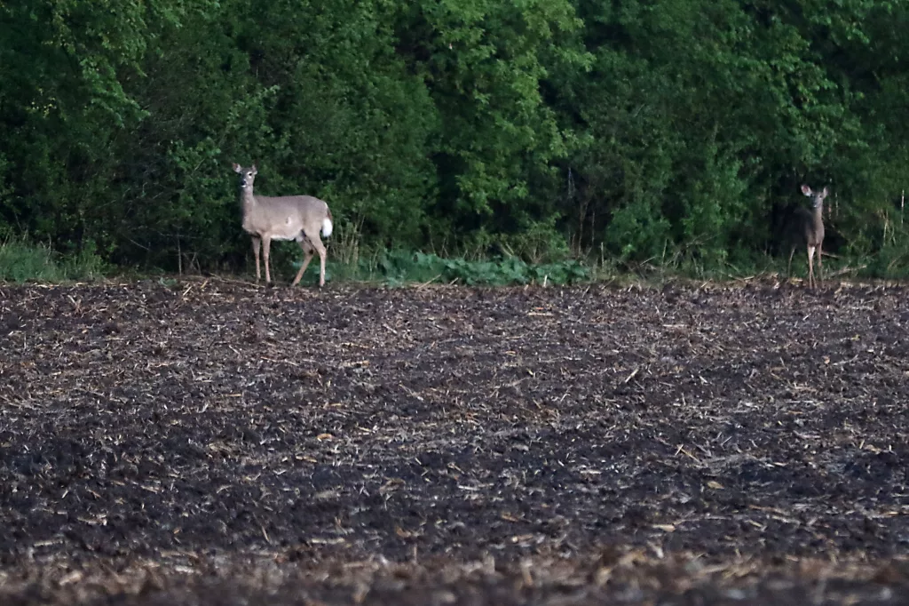 xml4dfm5kzex3aa7hqgd4pqi2u352221