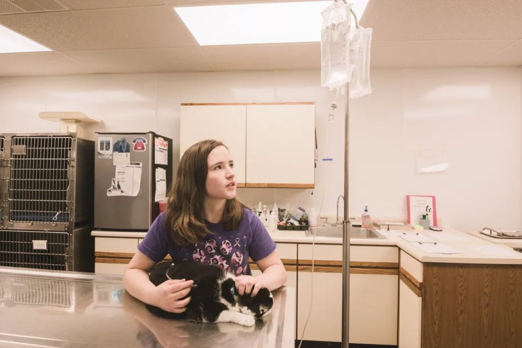 w44coeb7kfabda2xp2ie4m4n64163987