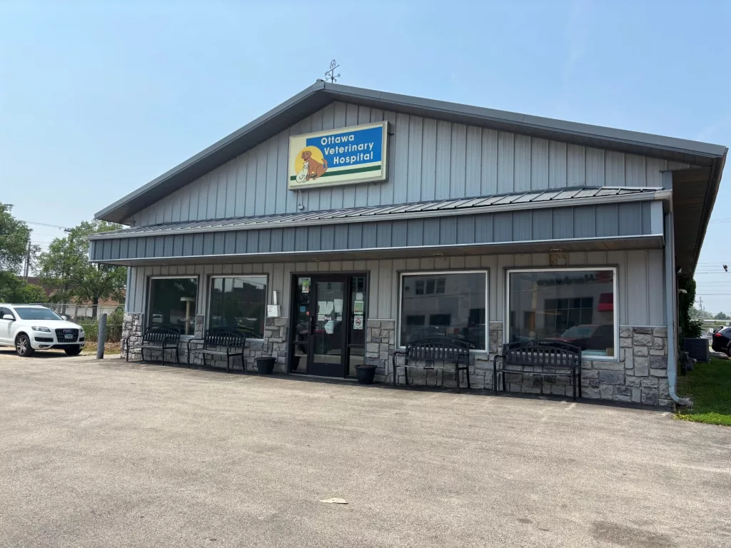 c22t5qd3gzc4pblajlhxcch2a4