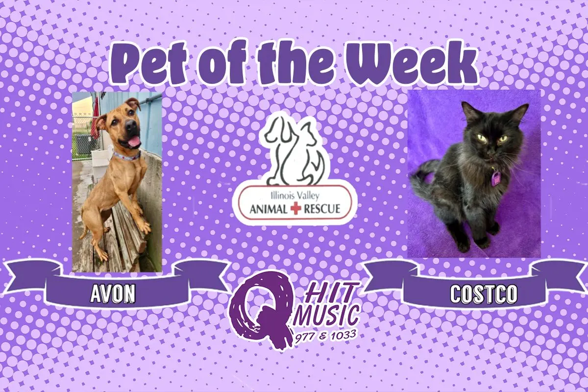 phonto-2025-10-29t061809-765