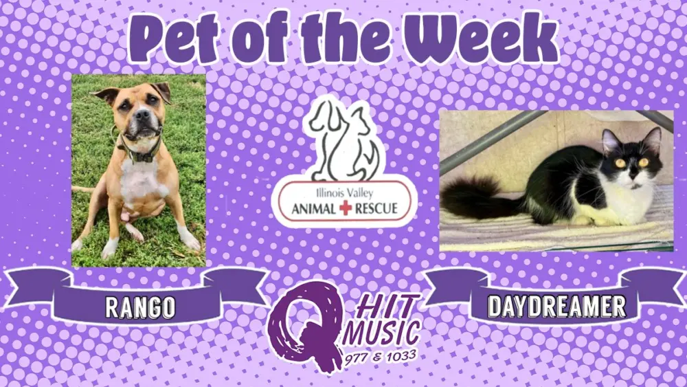 phonto-2025-11-10t072739-919