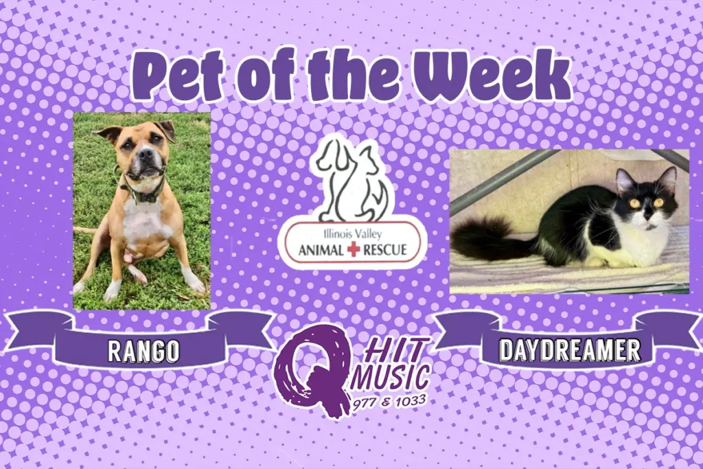 phonto-2025-11-10t072739-919