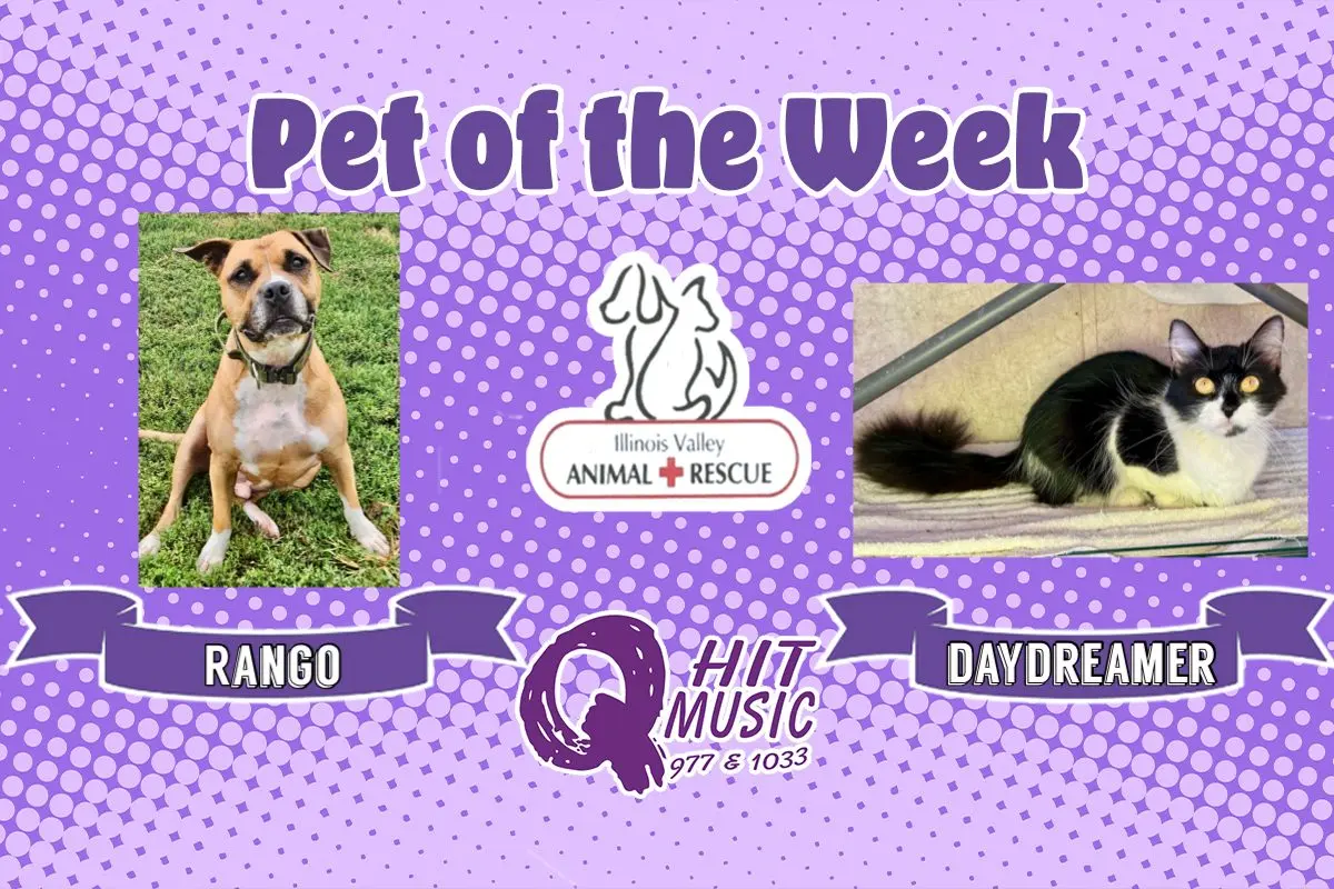 phonto-2025-11-10t072739-919