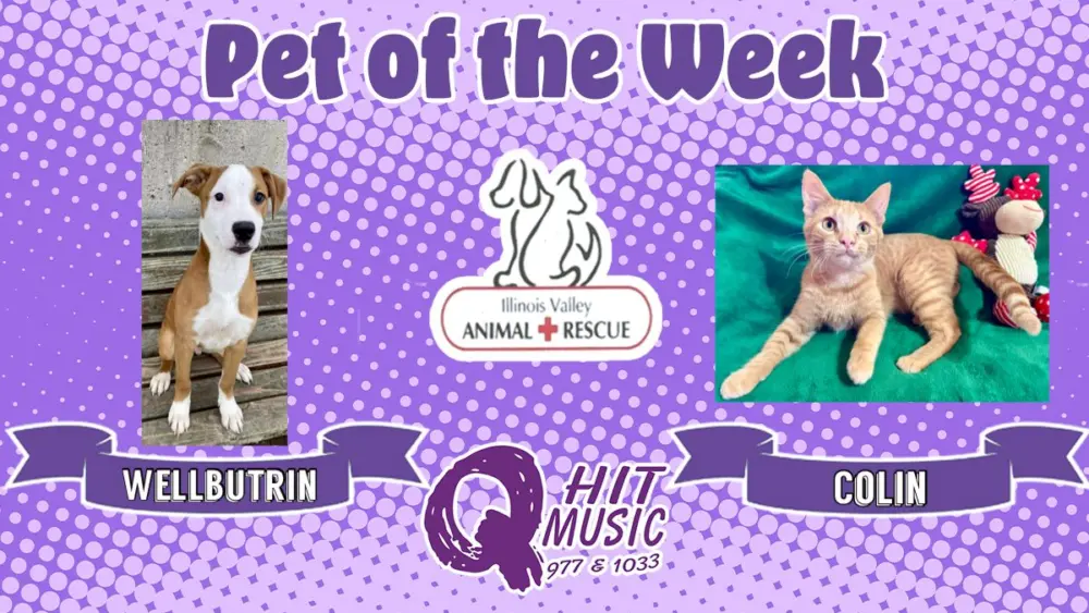 phonto-2025-11-24t065955-264