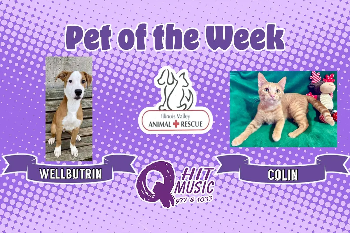 phonto-2025-11-24t065955-264