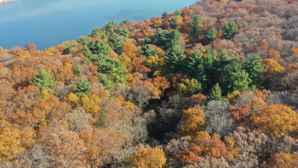 n74jttqqivbs5l3xt3hr55supi