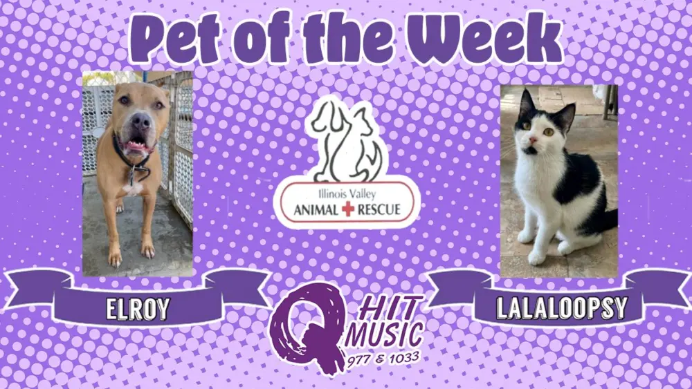 phonto-2025-12-08t073941-819