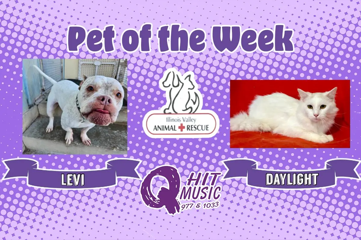 phonto-2025-12-15t073602-975