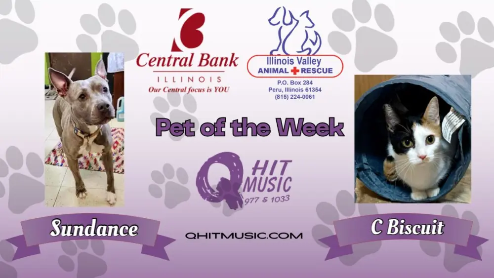 pet-of-the-week-q-hit-2
