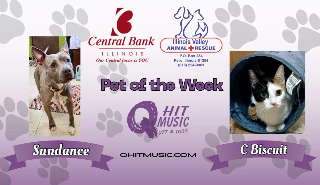 pet-of-the-week-q-hit-2