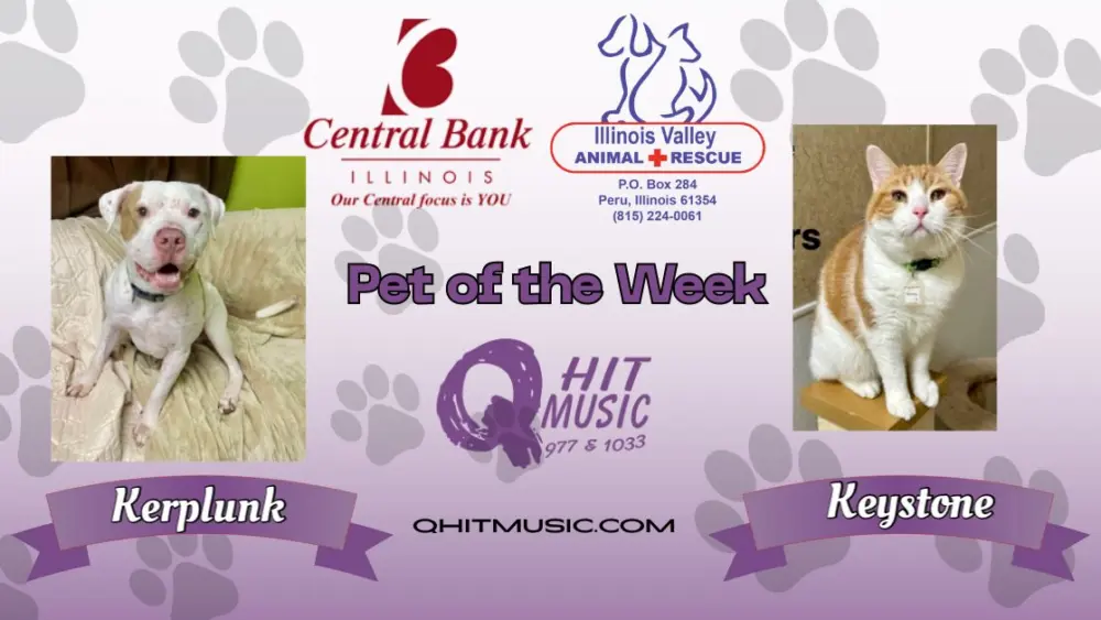 pet-of-the-week-q-hit-3