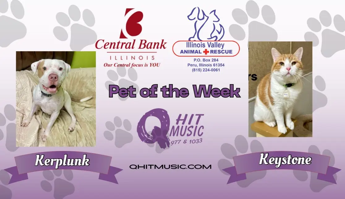 pet-of-the-week-q-hit-3