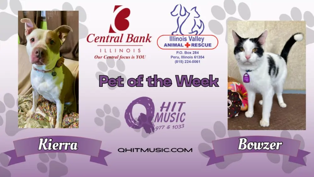 pet-of-the-week-q-hit-4