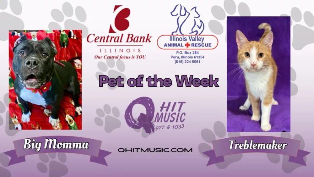 pet-of-the-week-q-hit-5