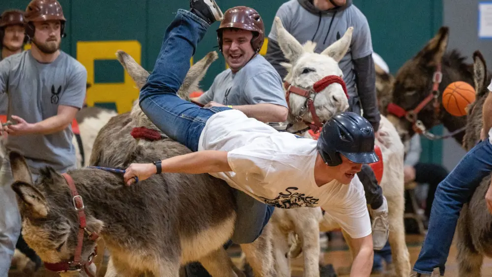 d2rsh4c6gzcetfd4m7vaixko7y