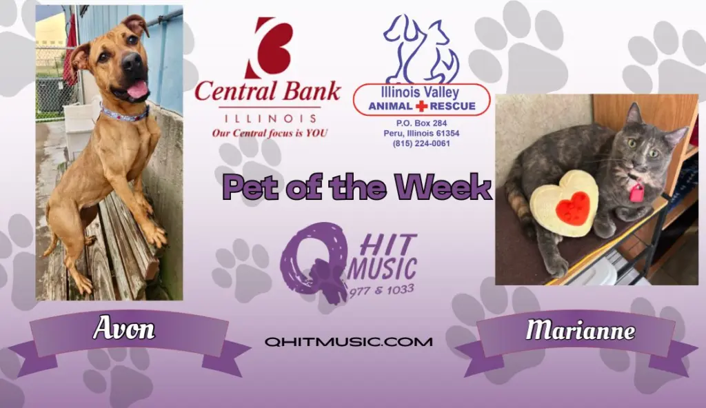 pet-of-the-week-q-hit-6